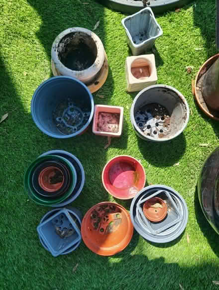 Photo of free Various Plant Pot (Slough Central SL1) #1