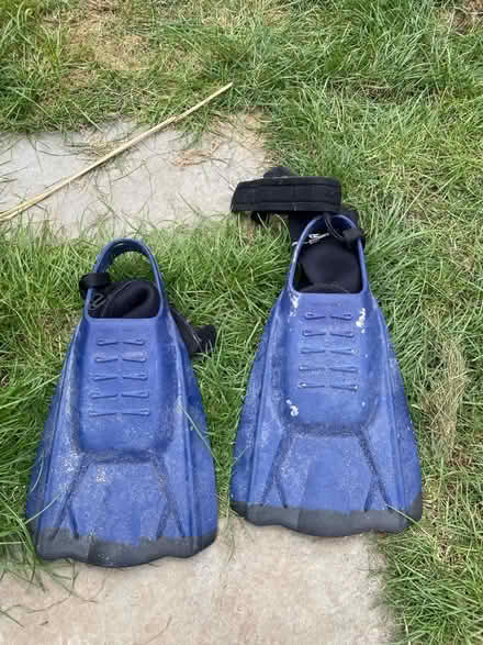 Photo of free Boogie board fins for size 5/6 (TW2 Twickenham) #1