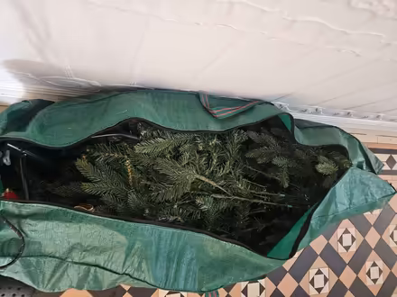 Photo of free Christmas Tree (Didsbury M20) #3