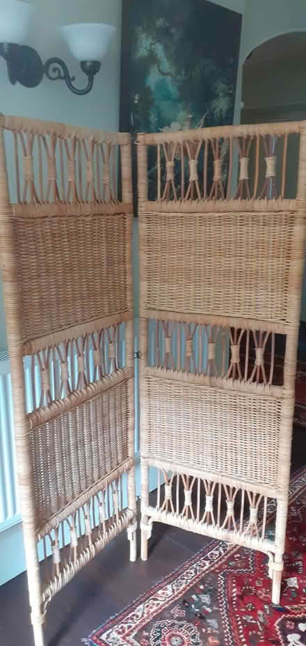 Photo of free Sturdy bamboo screen (GL6 (Chalford)) #1