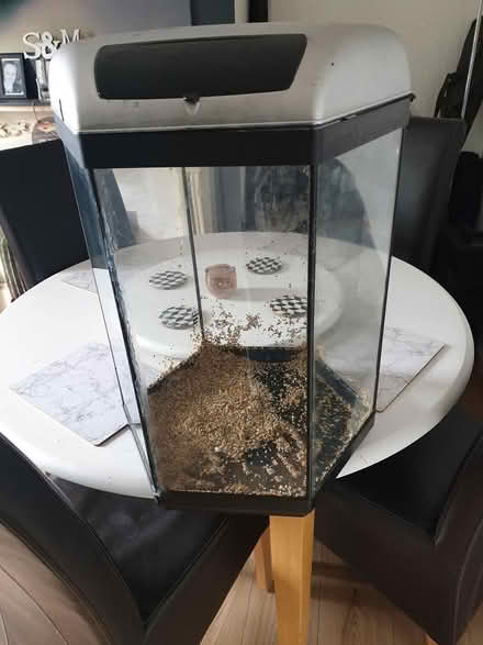 Photo of free Fish tank (stockport shaw heath) #1