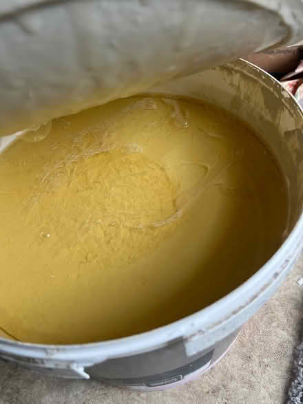 Photo of free Magnolia paint (Dulwich) #3
