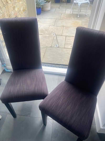 Photo of free 2x cushioned dining chairs (Chiswick W4) #4