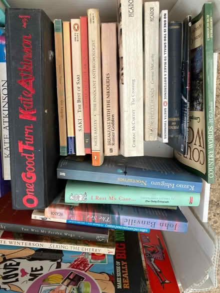 Photo of free Job lot of books (NR4) #3