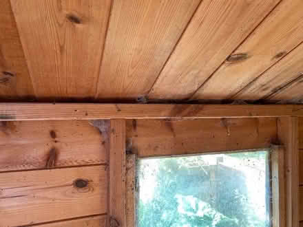 Photo of free Garden shed 1760 x 2360 (Benslow SG4) #3