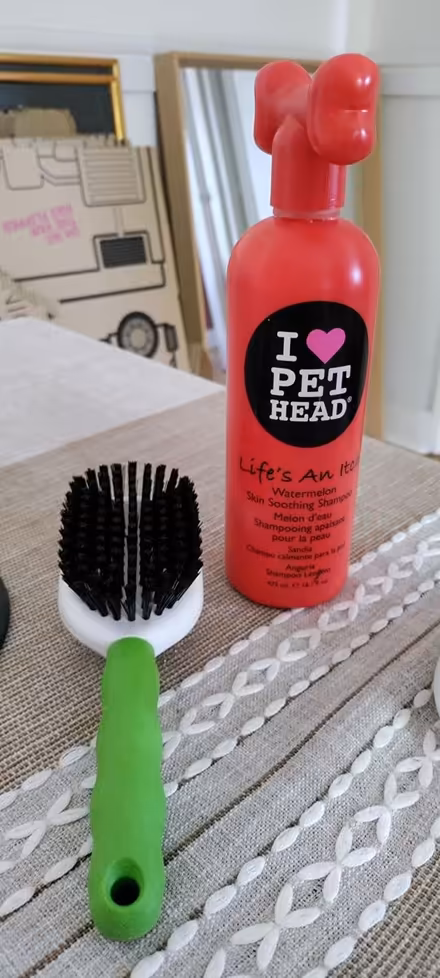 Photo of free Dog Shampoo and Brush (NW6 6AH) #1