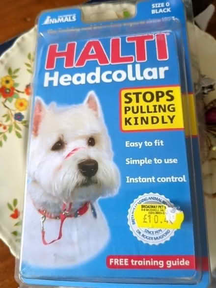 Photo of free Halti Head collar (Colney Hatch N10) #1