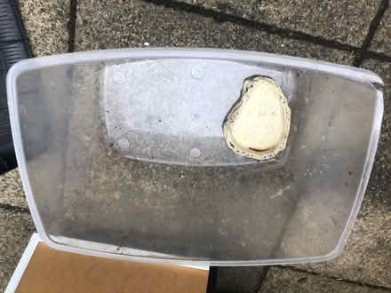 Photo of free Plastic terrarium/tank (Broadclyst) #3