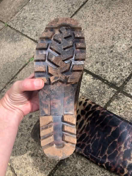 Photo of free Size 6 leopard print wellies (Broadclyst) #2