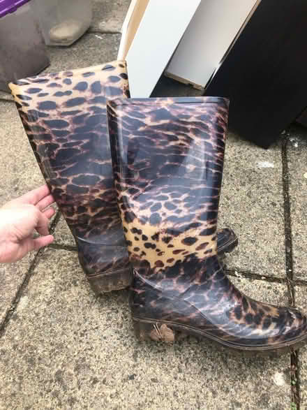Photo of free Size 6 leopard print wellies (Broadclyst) #1