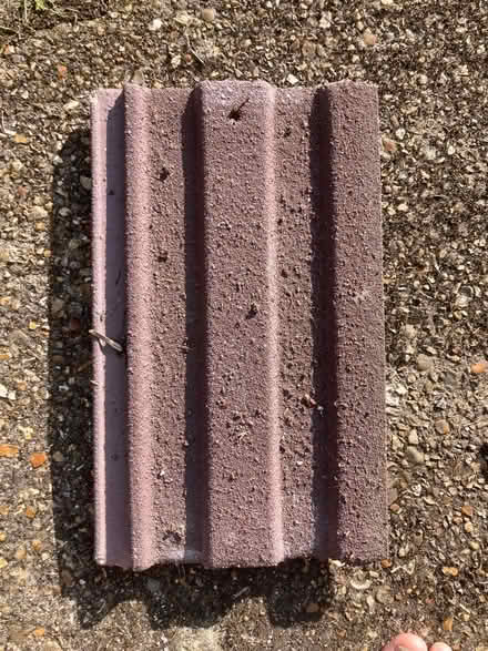 Photo of free Redland Roof tiles x 7 (Emlyn Road W12) #1