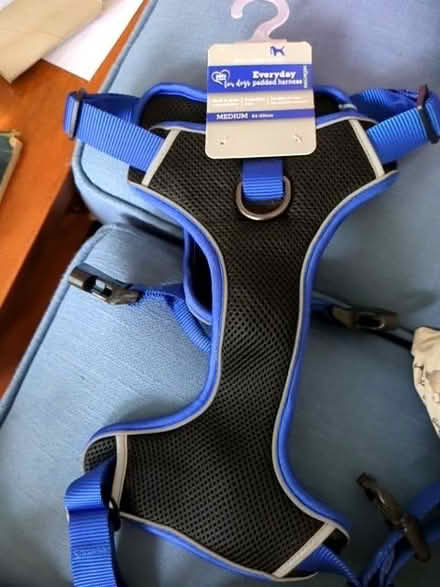 Photo of free Pet harness for medium dog (Colney Hatch N10) #1