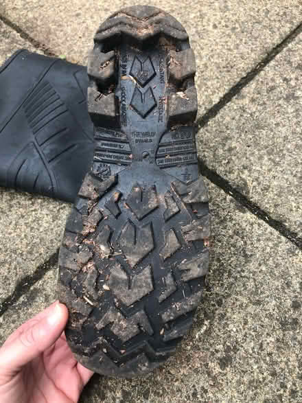 Photo of free Steel toe cap wellies size 6 (Broadclyst) #3