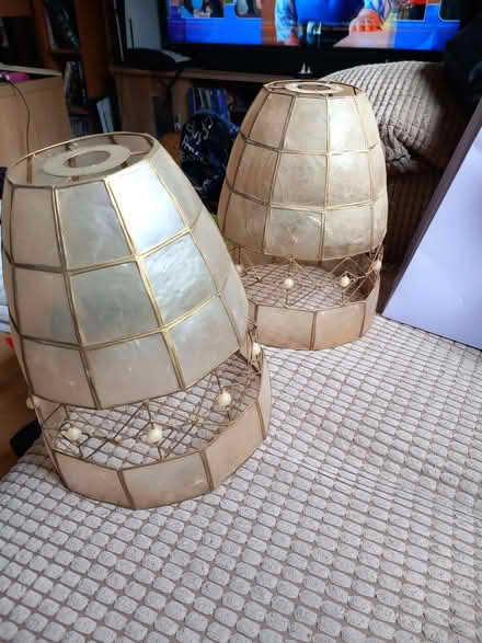 Photo of free 2 matching ceiling light shades (Millbrook SK15) #2