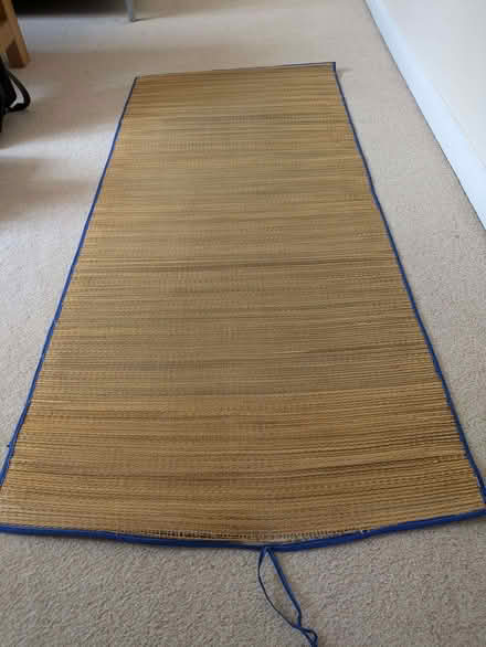 Photo of free Beach mat (Hertford SG14) #2