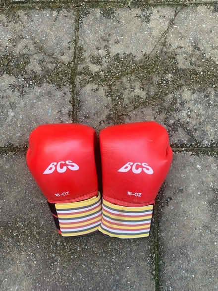Photo of free Boxing gloves (W4) #1
