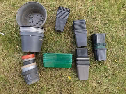 Photo of free Various sizes plastic plant pots (Bradford on Avon BA15) #1