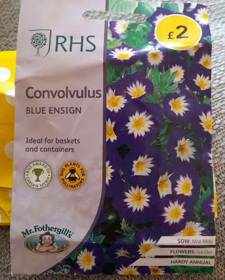 Photo of free Flower seeds - Dahlia and Convolvulus (South End MK42) #1