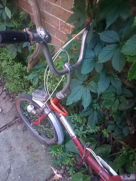 Photo of free Folding bike (TN21) #3