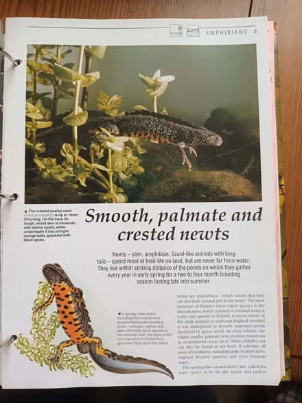 Photo of free Living Countryside magazine collection (Y Felinheli LL56) #4