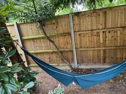 Photo of free Decathlon hammock (SG4 hitchin) #1