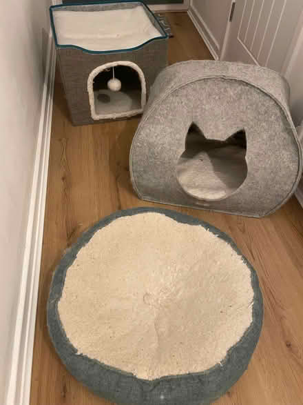 Photo of free 3 cat beds (Wildridings RG12) #1
