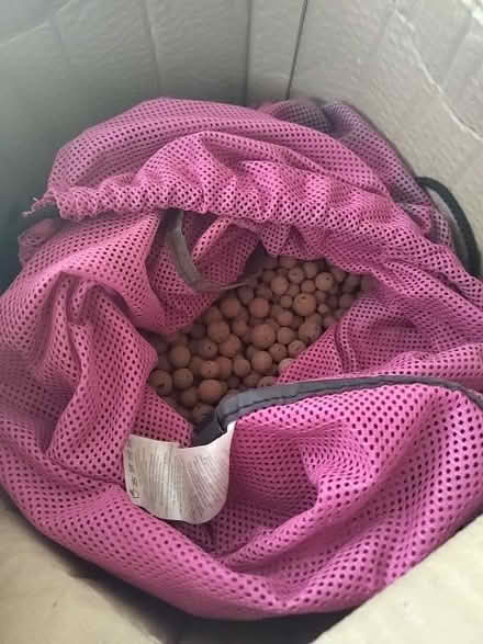 Photo of free Clay pellets (Dyke Road area BN1) #1