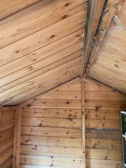 Photo of free Garden shed 1760 x 2360 (Benslow SG4) #2