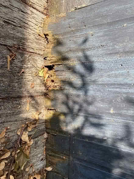 Photo of free Garden shed 1760 x 2360 (Benslow SG4) #4