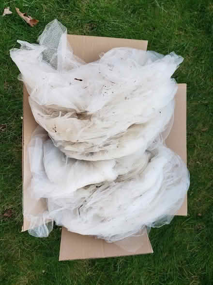 Photo of free Tulle - leftovers cicada protection (eastside Geneva) #1
