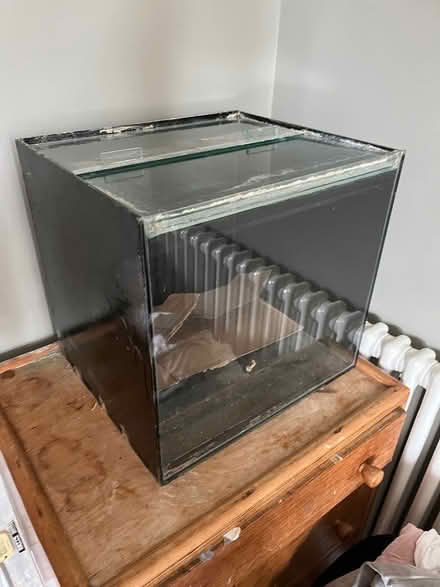 Photo of free Fish tank (East Dulwich SE22) #1