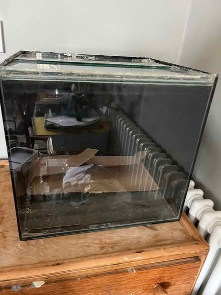 Photo of free Fish tank (East Dulwich SE22) #2