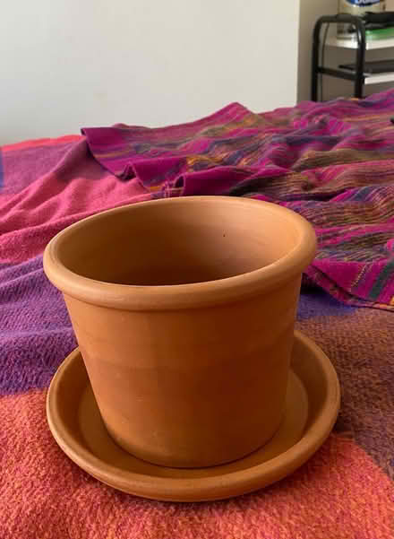 Photo of free Terracotta plant pot 7.1” (Finsbury Park N4) #1