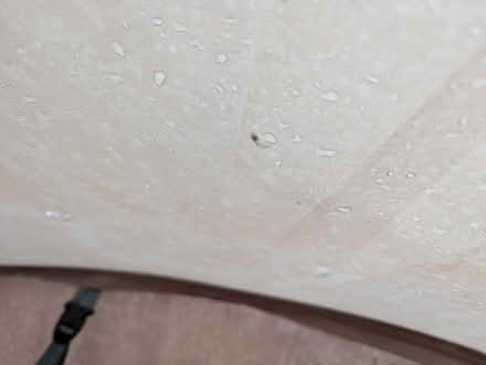 Photo of free Old Outwell Nevada M family tent (Oxford OX2) #2