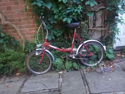 Photo of free Folding bike (TN21) #1