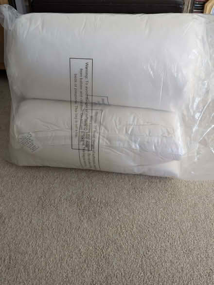 Photo of free 2 Feather Pillows (West Worthing BN11) #2