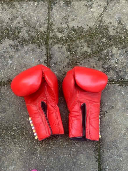 Photo of free Boxing gloves (W4) #2