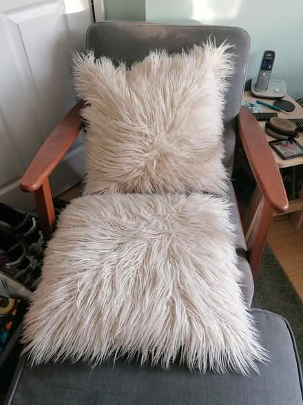 Photo of free Two fluffy cushions (Didcot, Ladygrove, OX11) #1