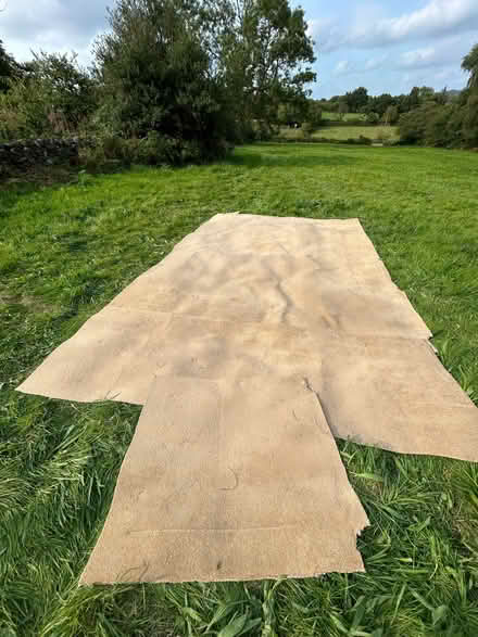 Photo of free Beige Carpet and/or Underlay (Hearthstone DE4) #2