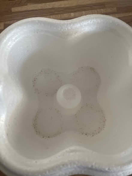 Photo of free Milk bottle carrier (Swindon SN3) #2