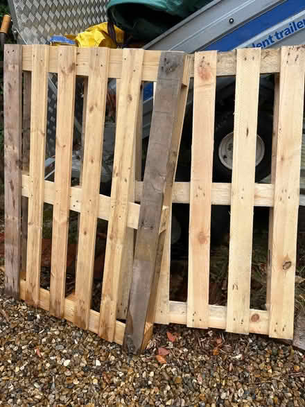 Photo of free Wooden Pallets x 2 (Walton on Thames KT12) #1