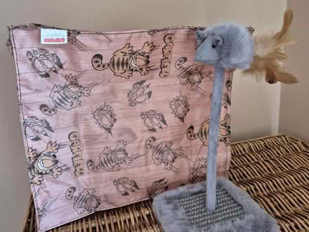 Photo of free Cat toys (ME9 Lower Halstow) #1