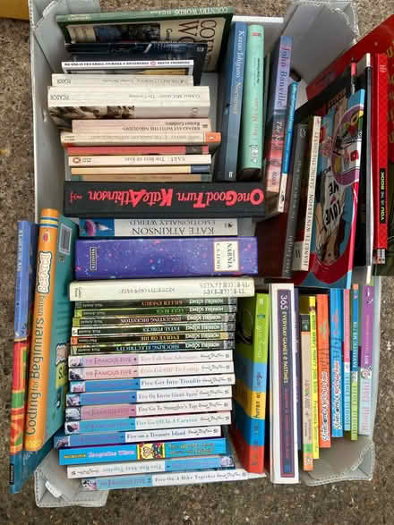 Photo of free Job lot of books (NR4) #1