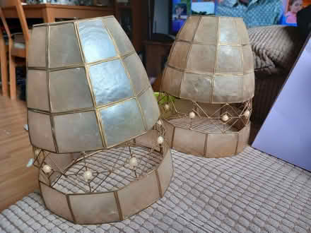 Photo of free 2 matching ceiling light shades (Millbrook SK15) #1