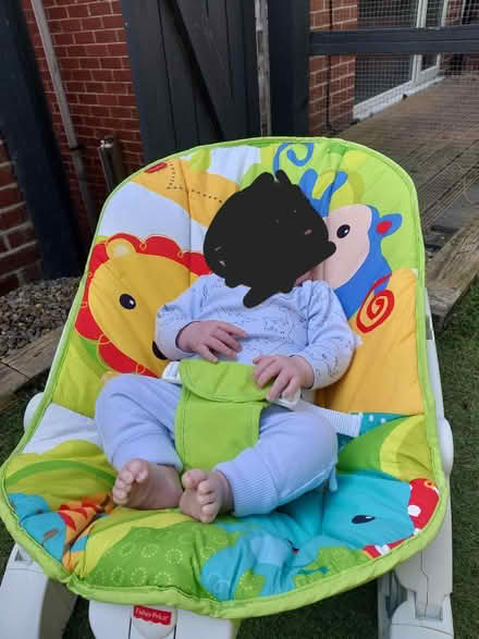 Photo of free Baby bouncer (Sheffield S8 Woodseats) #1