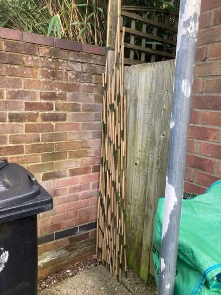 Photo of free Bamboo poles/stakes (Fords Farm RG31)