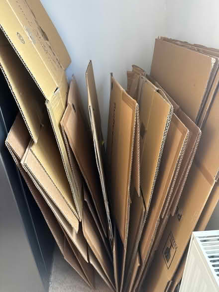 Photo of free Lots of moving boxes (BR3) #1