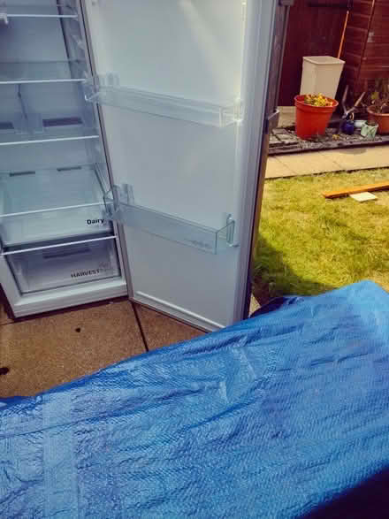 Photo of free Beko tall larder fridge (Cowley OX4) #3