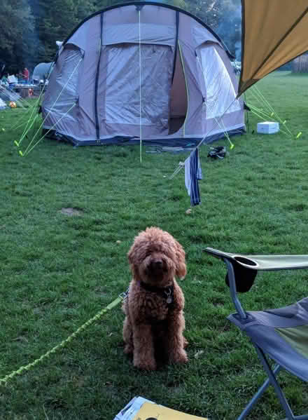 Photo of free Old Outwell Nevada M family tent (Oxford OX2) #1