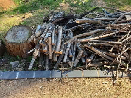 Photo of free kindling, logs and slabs (bundanoon) #2